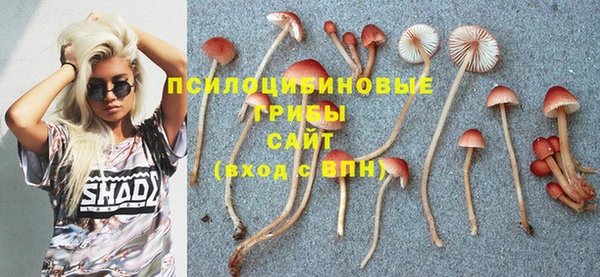 бошки Алексеевка