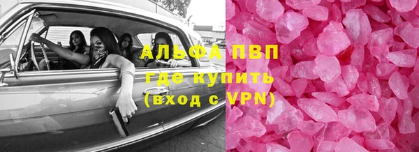 индика Алексин