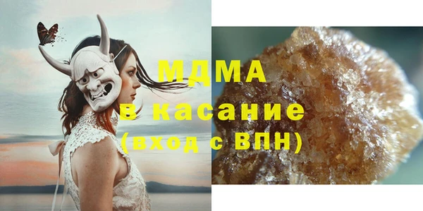 индика Алексин