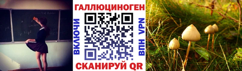 Псилоцибиновые грибы ЛСД mega как зайти Муром где найти наркотики