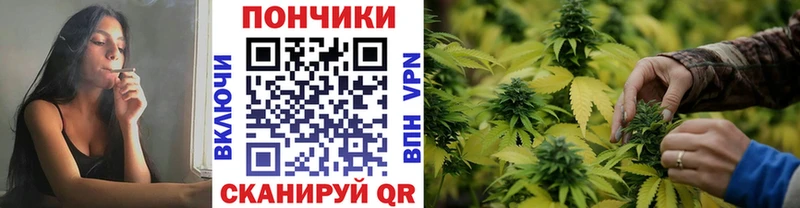 дарнет шоп Муром mega как войти даркнет телеграм Шишки марихуана планчик